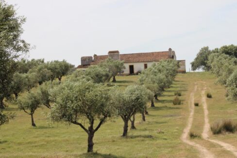 Authentic Monte in the Heart of Alentejo