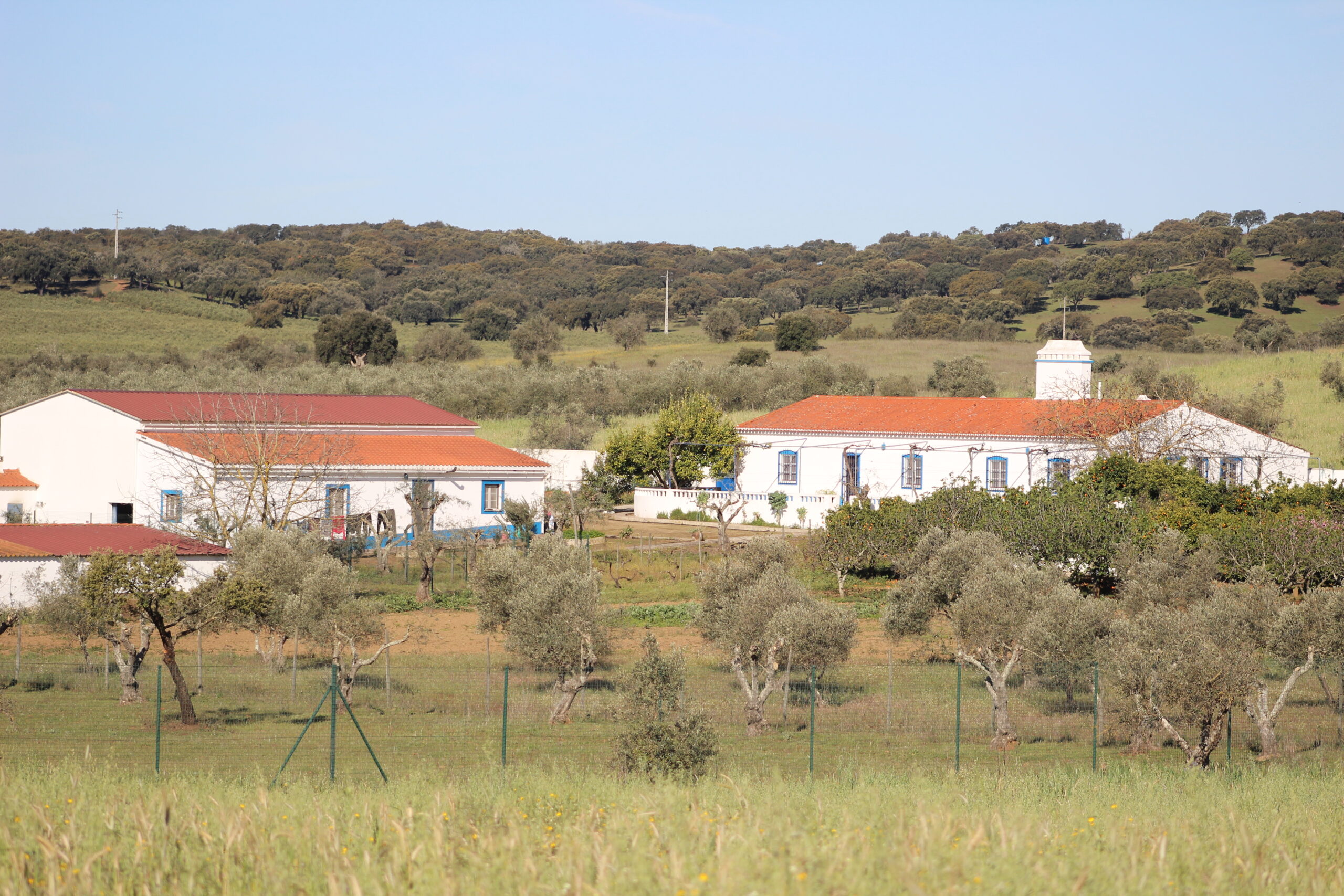 A traditional Monte, very well maintained. Very quiet location near Alvito and Vidigueira, halfway between Evora and  Beja, Alentejo.