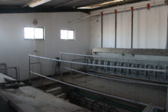 AGR1914 06 animal pen