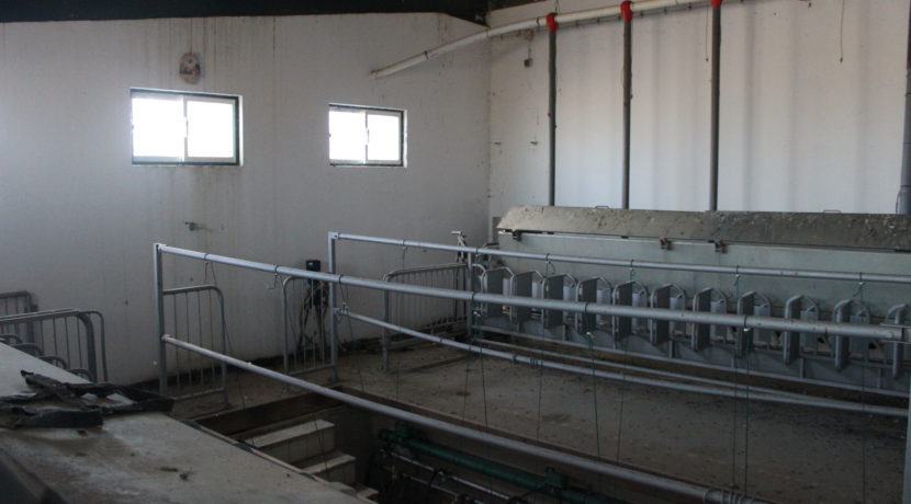 AGR1914 06 animal pen
