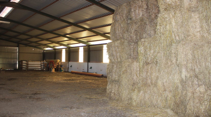 AGR1914 09 hay store