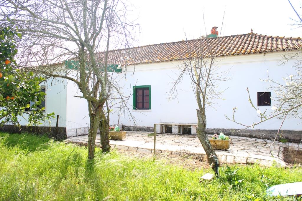A traditional cottage, 3-bedrooms,with nice country views.  5 minutes drive to the town Estramoz, in the Alentejo.