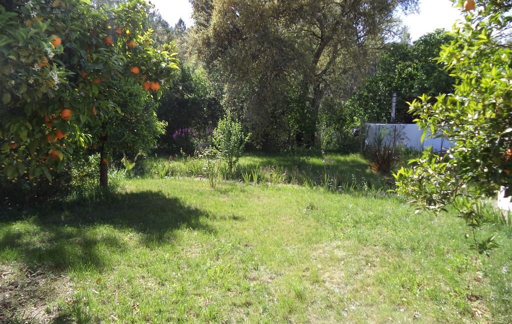 JARDINS e EXTERIORES (1)