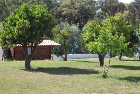 JARDINS e EXTERIORES (19)