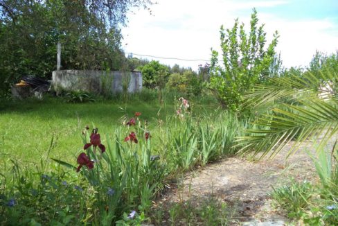 JARDINS e EXTERIORES (5)