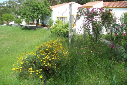 JARDINS e EXTERIORES (8)
