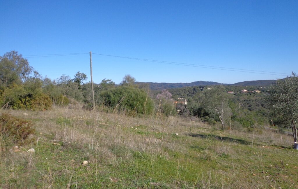T 4023 004