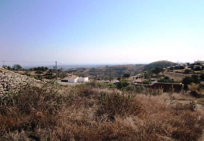 TR2236 11