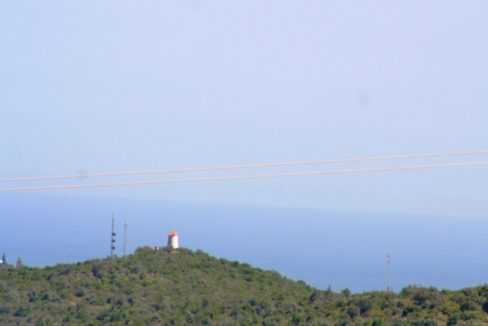imo01120503